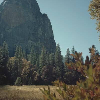 Rolleiflex 2.8F, Californian Road Trip · FFF\USA\RF\026