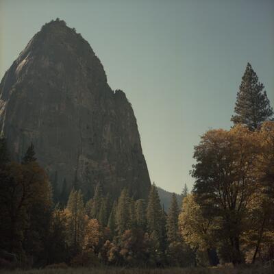 Rolleiflex 2.8F, Californian Road Trip · FFF\USA\RF\027