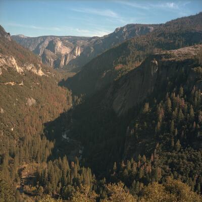 Rolleiflex 2.8F, Californian Road Trip · FFF\USA\RF\031