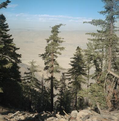 Rolleiflex 2.8F, Californian Road Trip · FFF\USA\RF\049