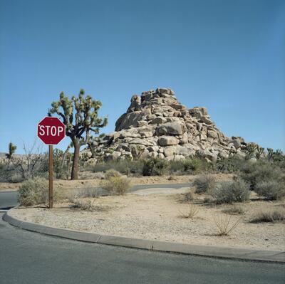 Rolleiflex 2.8F, Californian Road Trip · FFF\USA\RF\064