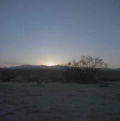 Rolleiflex 2.8F, Californian Road Trip · FFF\USA\RF\072