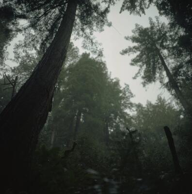 Rolleiflex 2.8F, Californian Road Trip · FFF\USA\RF\106