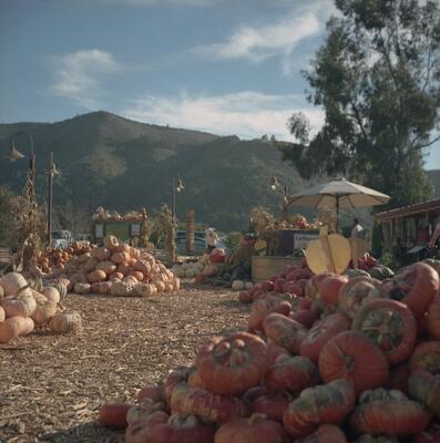 Rolleiflex 2.8F, Californian Road Trip · FFF\USA\RF\130