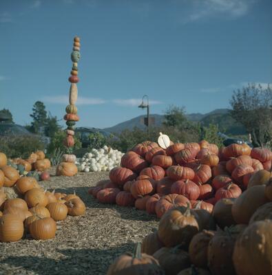 Rolleiflex 2.8F, Californian Road Trip · FFF\USA\RF\131