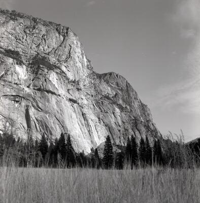 Rolleiflex 2.8F, Californian Road Trip · FFF\USA\RF\174