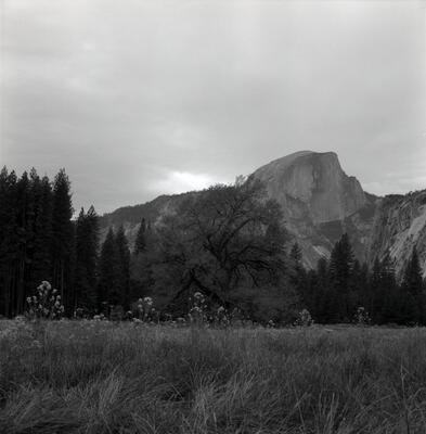 Rolleiflex 2.8F, Californian Road Trip · FFF\USA\RF\176
