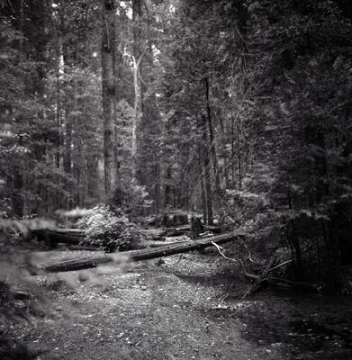 Rolleiflex 2.8F, Californian Road Trip · FFF\USA\RF\177