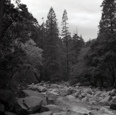 Rolleiflex 2.8F, Californian Road Trip · FFF\USA\RF\178