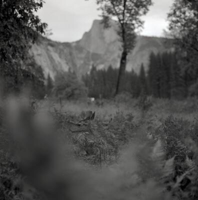 Rolleiflex 2.8F, Californian Road Trip · FFF\USA\RF\179