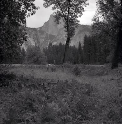 Rolleiflex 2.8F, Californian Road Trip · FFF\USA\RF\180